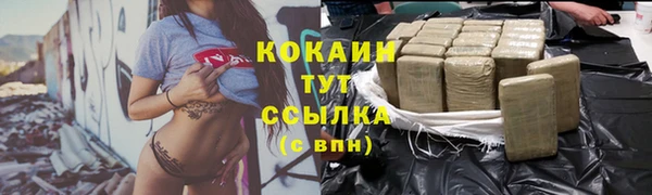 дживик Алексин