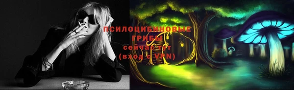 дживик Алексеевка