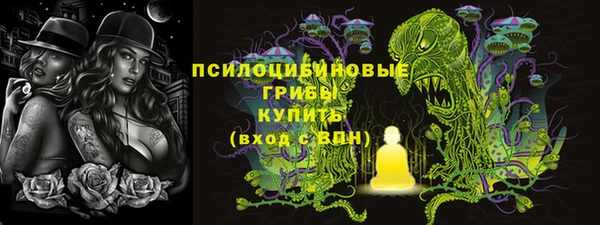 дживик Алексин